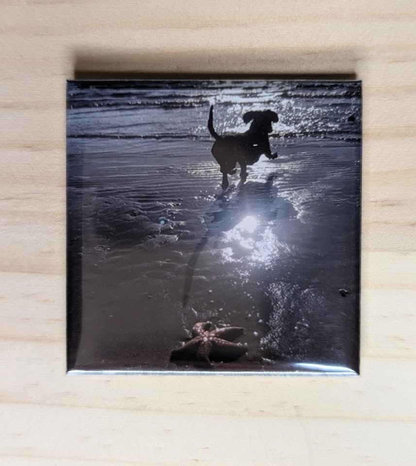 Custom Photo Magnets